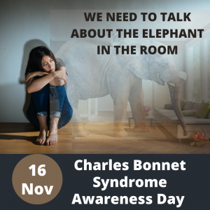 Picture of a Women sitting in a room her arms are folded and there is an elephant in the room and the words 16 Nov Charles Bonnet Syndrome Awareness Day in a black banner under her picture