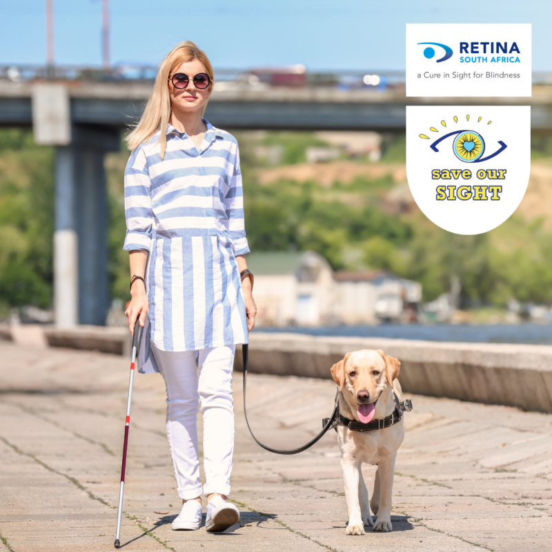 The features a person with a white cane and a guide dog standing on a pavement, with a bridge in the background. The person is dressed in a striped shirt and pants, and the guide dog appears to be a Labrador. There is text in the top right corner that reads “RETINA SOUTH AFRICA” and below it, “A Cure in Sight for Blindness” followed by “SAVE OUR SIGHT.”