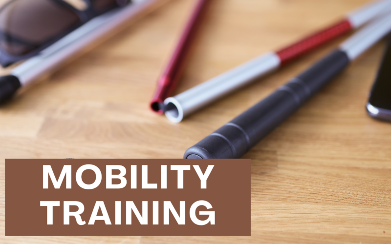 of a mobility cane on a wooden desk In the foreground, a brown rectangular label reads “MOBILITY TRAINING” in white text