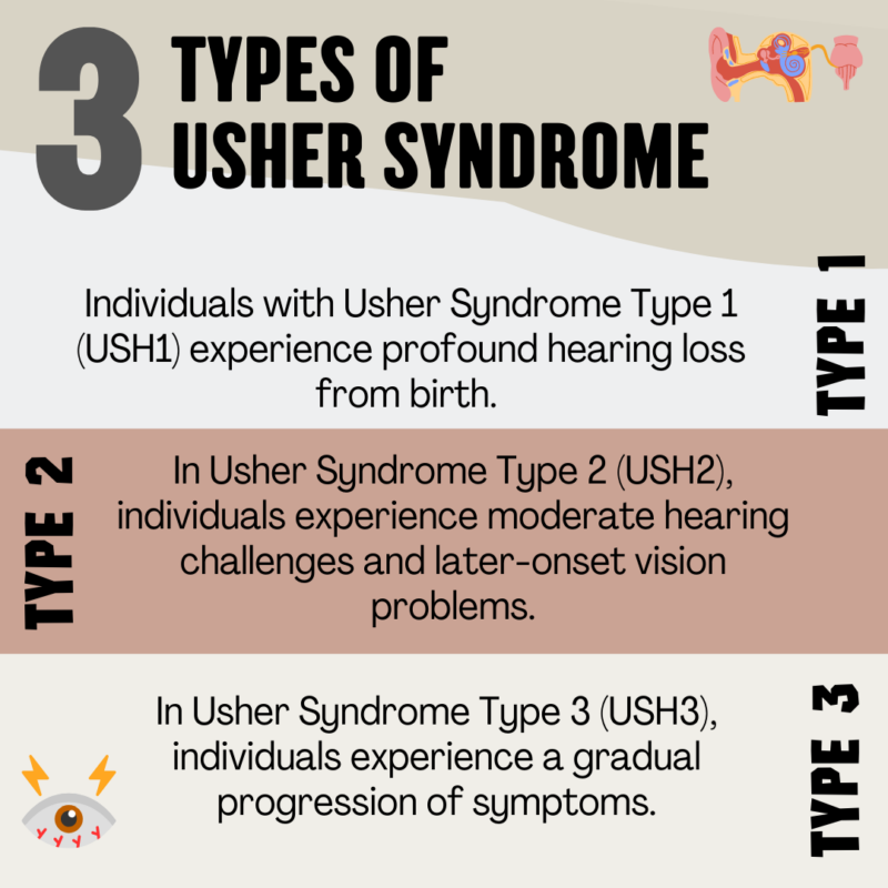 Infographic titled '3 Types of Usher Syndrome': Type 1 (USH1): Profound hearing loss from birth. Type 2 (USH2): Moderate hearing loss, later-onset vision issues. Type 3 (USH3): Gradual progression of symptoms. Includes bold text, sectioned colours, and small ear and eye illustrations.