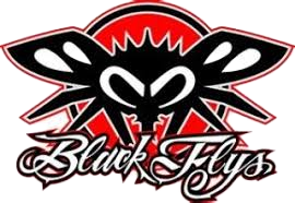 Black Flys Logo