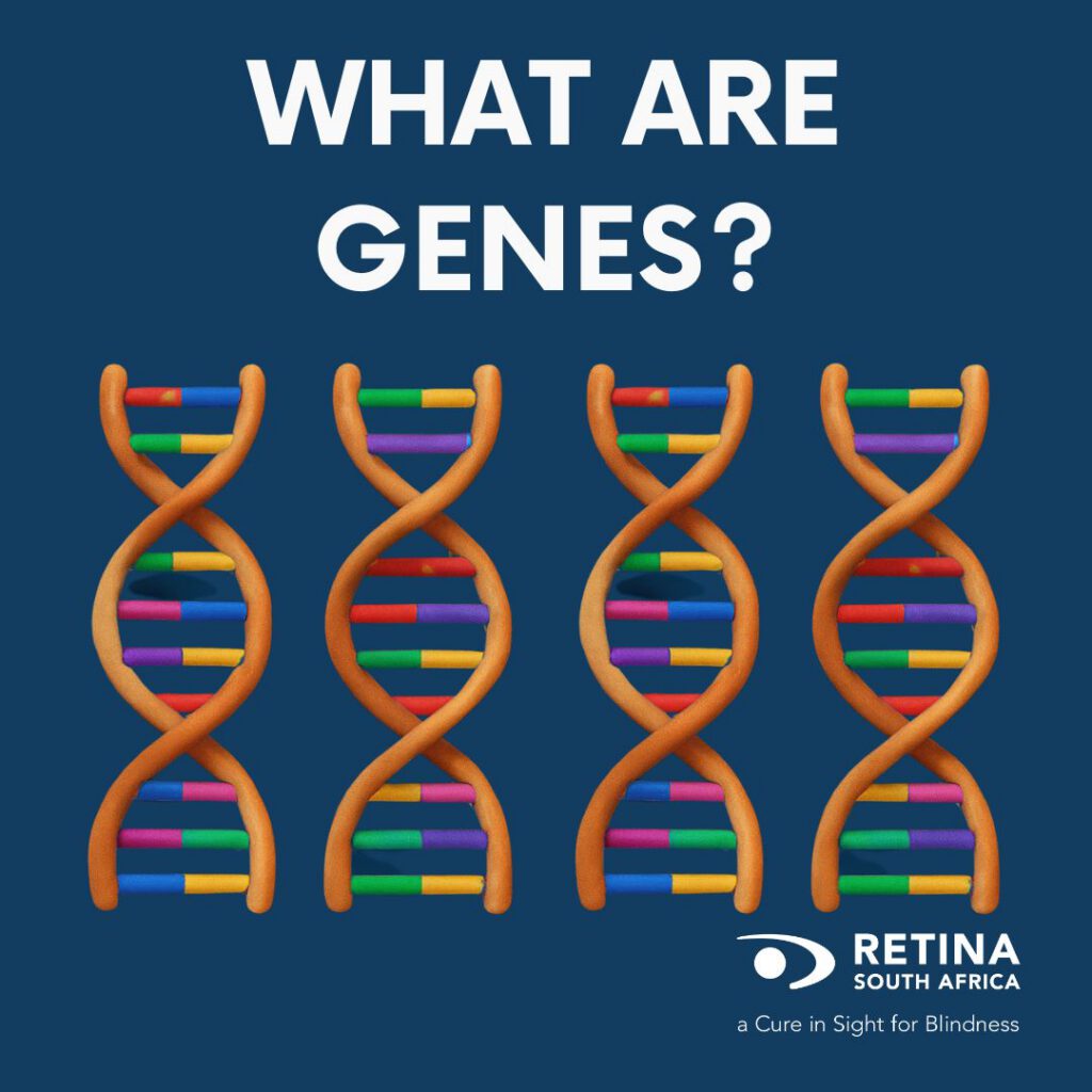 Educational graphic featuring four stylized orange DNA double helix structures with colored base pairs. Large white text reads “WHAT ARE GENES?” and the Retina South Africa logo appears in the bottom right corner with the tagline “a Cure in Sight for Blindness.”