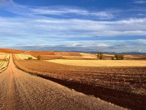 Wide landscape view of the Camino route with a dirt road winding through golden and brown farm fields under a blue sky with scattered clouds, with distant hills visible on the horizon.