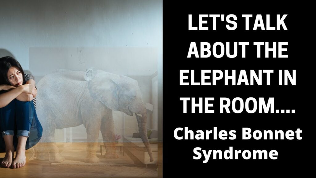 Charles Bonnet Syndrome