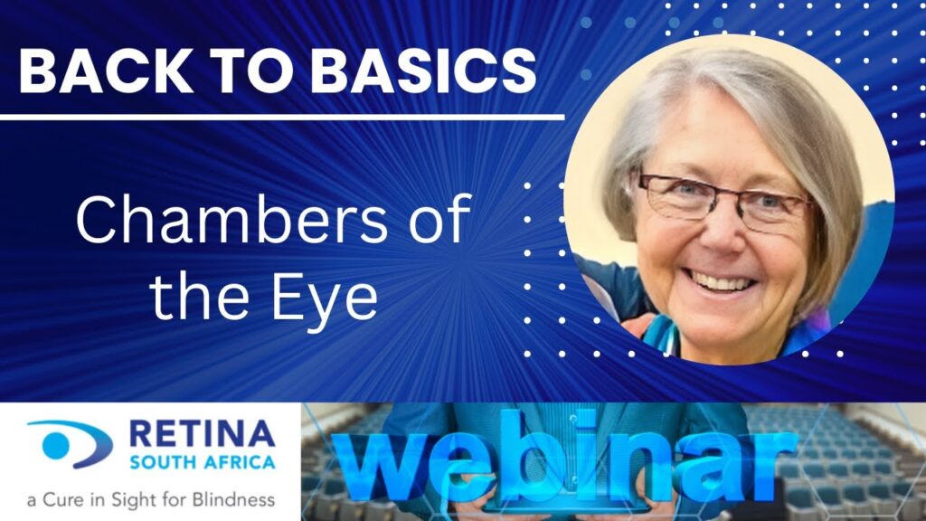 Back to Basics – Episode 5 – Chambers of the Eye