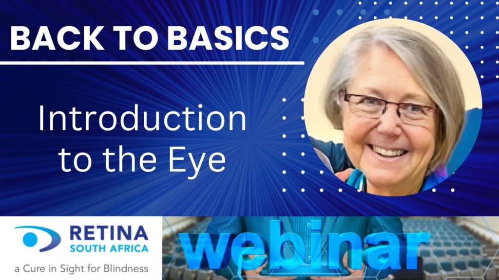 Back to Basics – Episode 2 – Introduction to the Eye