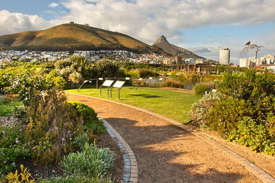 A curved garden path winds past indigenous plants and a green lawn with information boards, with Signal Hill and Lion's Head rising behind the Cape Town city skyline.